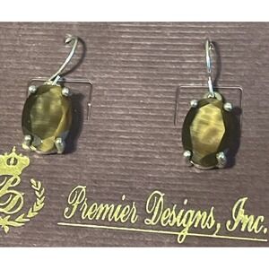 Premier Designs Retired Solano 2007 Silver tone Dangle Earrings NEW